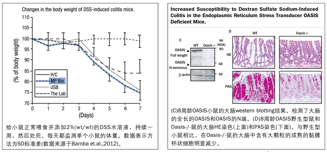 MP肠炎级葡聚糖硫酸钠DSS,用于DSS肠炎模型,MP北京一级代理商北京泽平