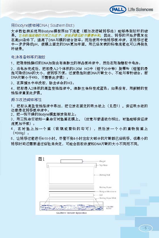 PALL PVDF转印膜 NC转印膜 北京一级代理商