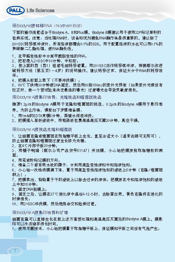 PALL PVDF转印膜 NC转印膜 北京一级代理商