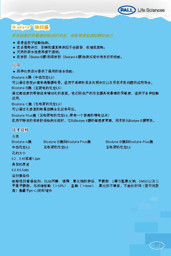 PALL PVDF转印膜 NC转印膜 北京一级代理商
