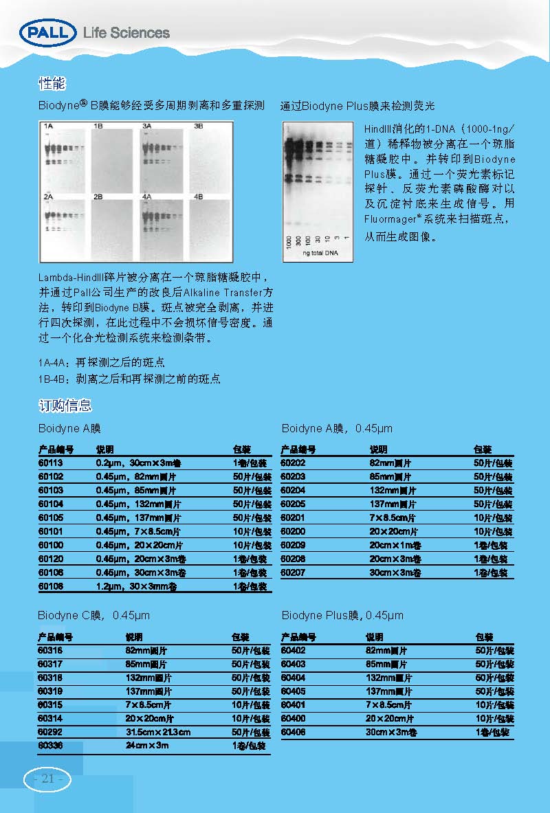 PALL PVDF转印膜 NC转印膜 北京一级代理商