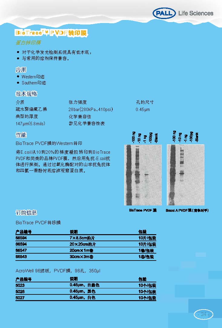 PALL PVDF转印膜 NC转印膜 北京一级代理商