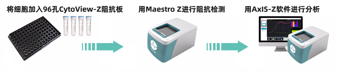 Axion Biosystems MAESTRO Z实时无标记细胞分析仪