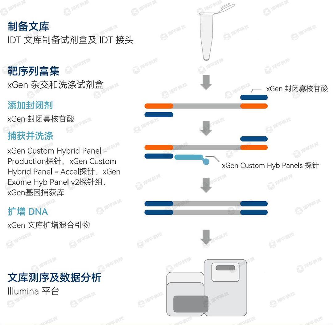 IDT xGen cfDNA & FFPE DNA ĿƱԼд̱ƽ