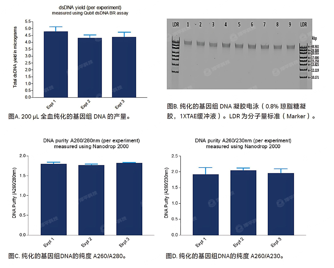 Cytiva Sera-Xtracta Genomic DNA Kit 鷨ȫѪDNAȡԼд̱ƽ