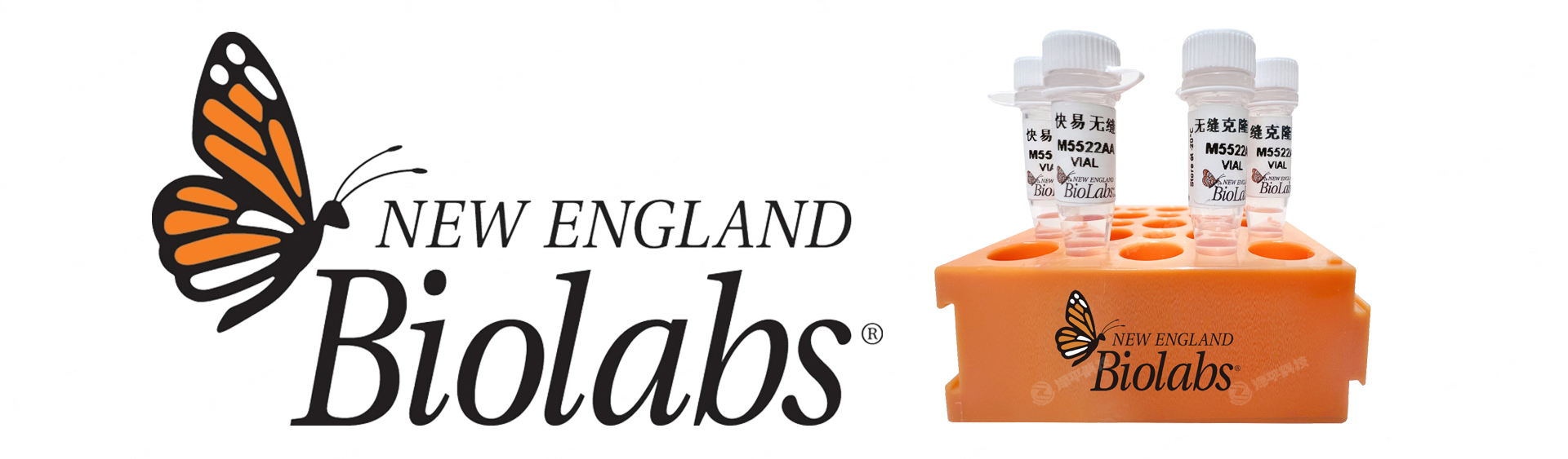 NEB޷¡ԤҺ,ͬԴGibsonװDNAƬ,M5522S,M5522Ḻƽ