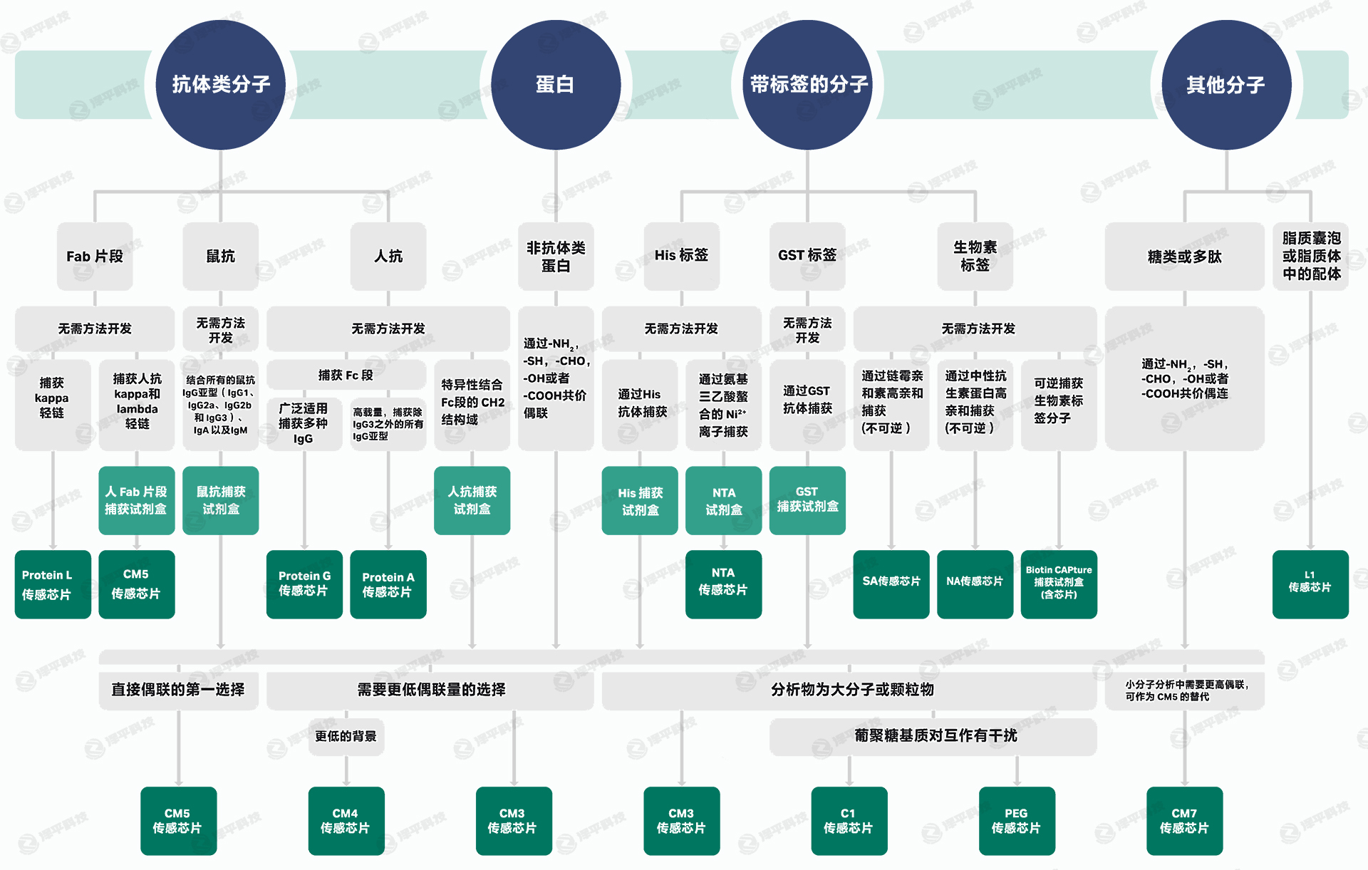 BiacoreоƬ�����̱�����ƽ