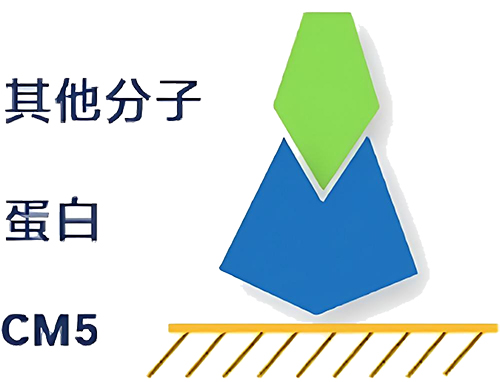 biacore CM5оƬ�����̱�����ƽ