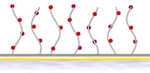 biacore CM5оƬ�����̱�����ƽ