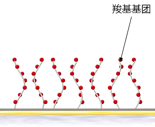 biacore CM5оƬ�����̱�����ƽ