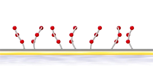 biacore CM3оƬ�����̱�����ƽ