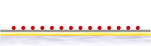 biacore C1оƬ�����̱�����ƽ