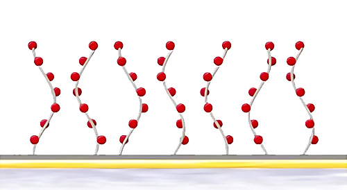 biacore CM7оƬ�����̱�����ƽ