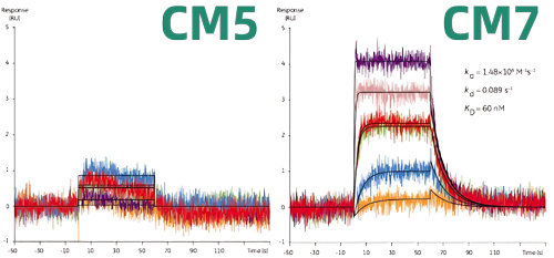 biacore CM7оƬ�����̱�����ƽ