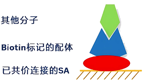 biacore SAоƬ�����̱�����ƽ