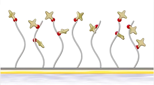 biacore NAоƬ�����̱�����ƽ