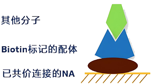 biacore NAоƬ�����̱�����ƽ