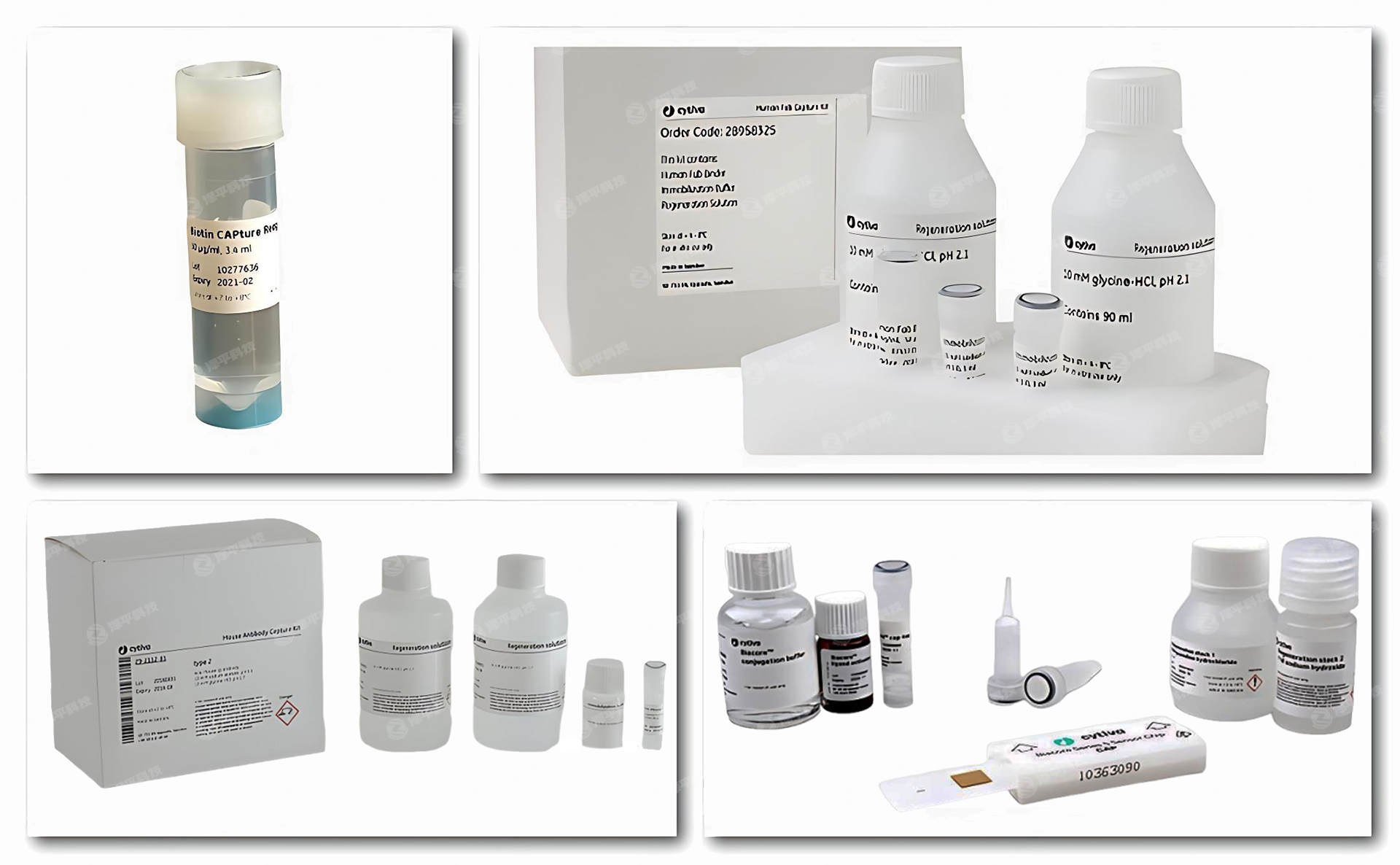 Biacore�����Լ��д����̱�����ƽ