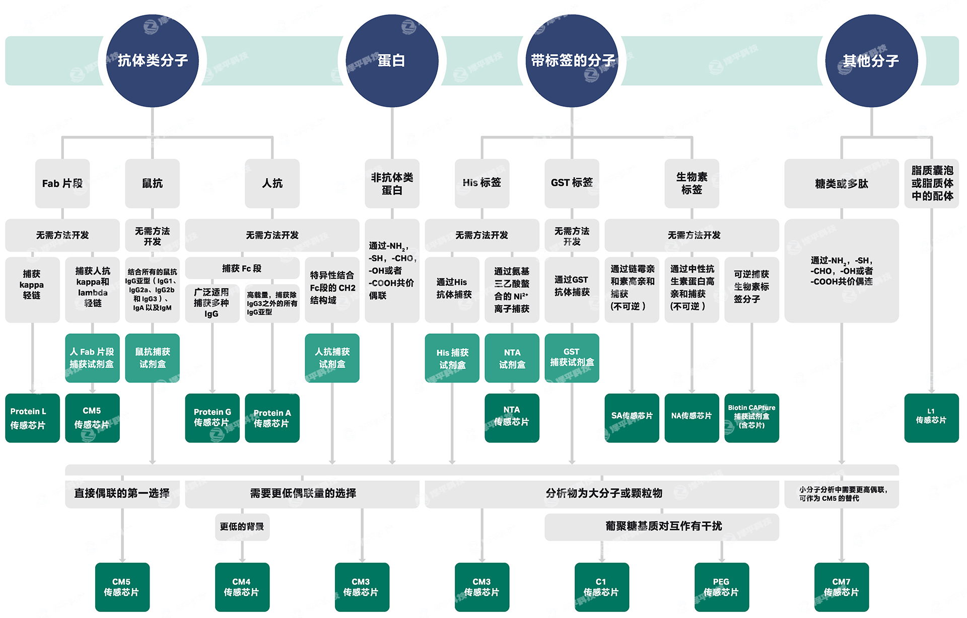 BiacoreоƬ�����̱�����ƽ