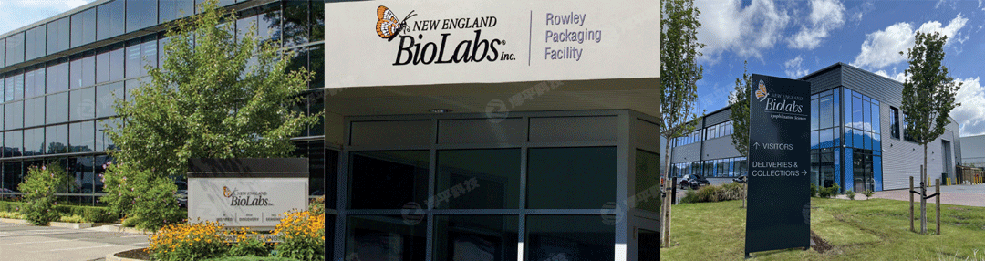 New England Biolabs, NEB官方授权一级代理商北京泽平