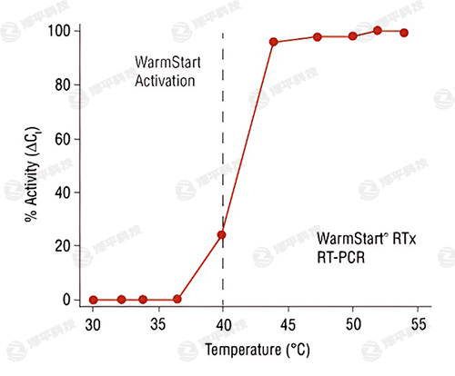 NEB WarmStart RTx ƴ̱ƽ