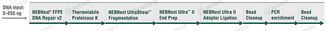 NEBNext UltraShear FFPE DNA ĿƱԼкƬλøʵ̴̱ƽ