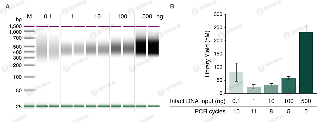 NEBNext FS DNA ĿƱԼкƬλøʵֿɿĿƱ̱ƽ
