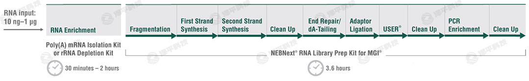 NEBNext RNA ĿƱԼʵ̴̱ƽ