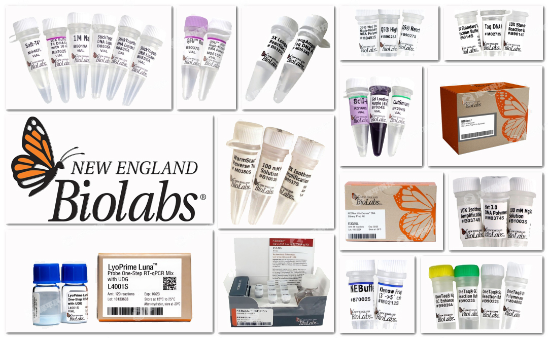 New England Biolabs, NEBٷȨһ̱ƽ