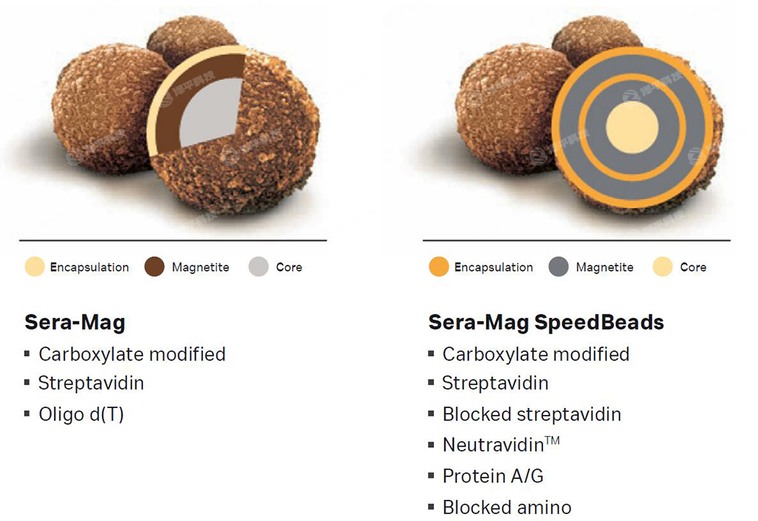Cytiva Sera-Mag SpeedBeads ̱ƽ