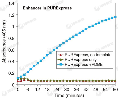 NEB PURExpress二硫键增强剂(PDBE)促进活性vtPA的正确折叠 代理商北京泽平