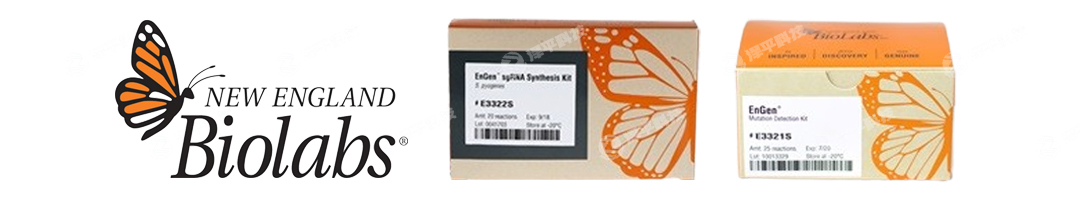 美国进口NEB CRISPR基因编辑Cas9,C12a(Cpf1)核酸酶,sgRNA合成试剂盒,突变检测试剂盒代理商北京泽平