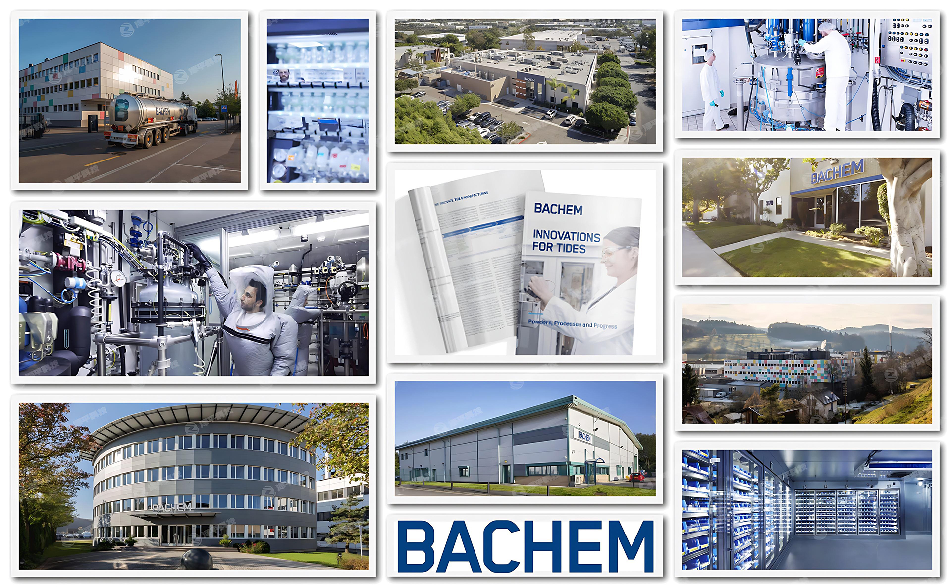 ��ʿ�ͺ�Bachem���İ������������Լ��ٷ���Ȩ�й�һ�������̱�����ƽ