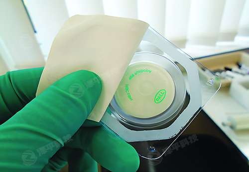 Cytiva Pall白细胞针头过滤器代理商北京泽平