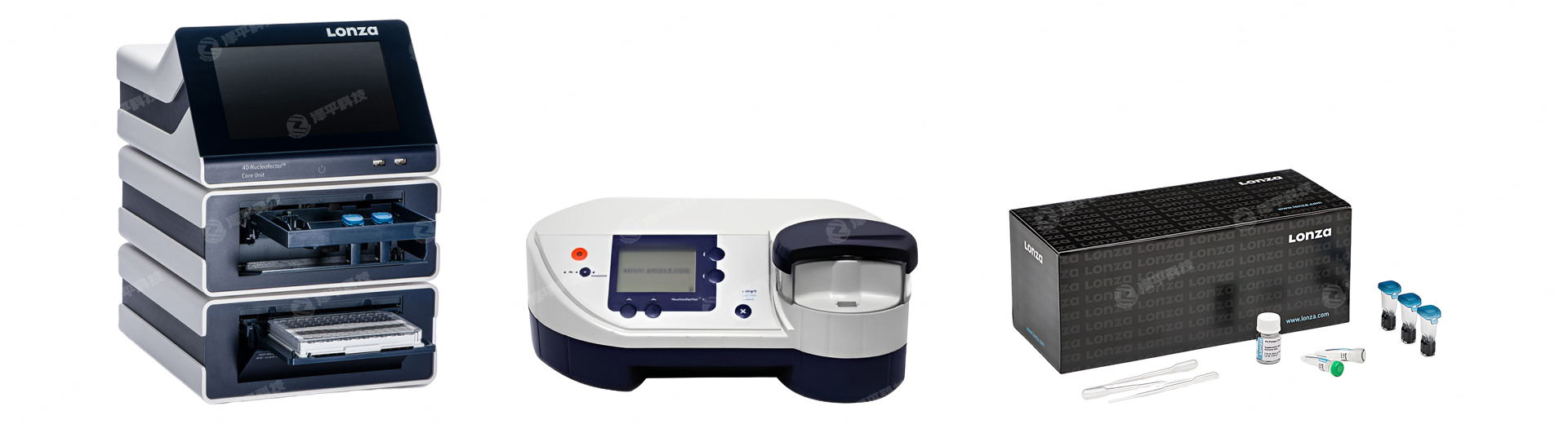 北京泽平动物细胞电转染实验技术服务&电转仪出租