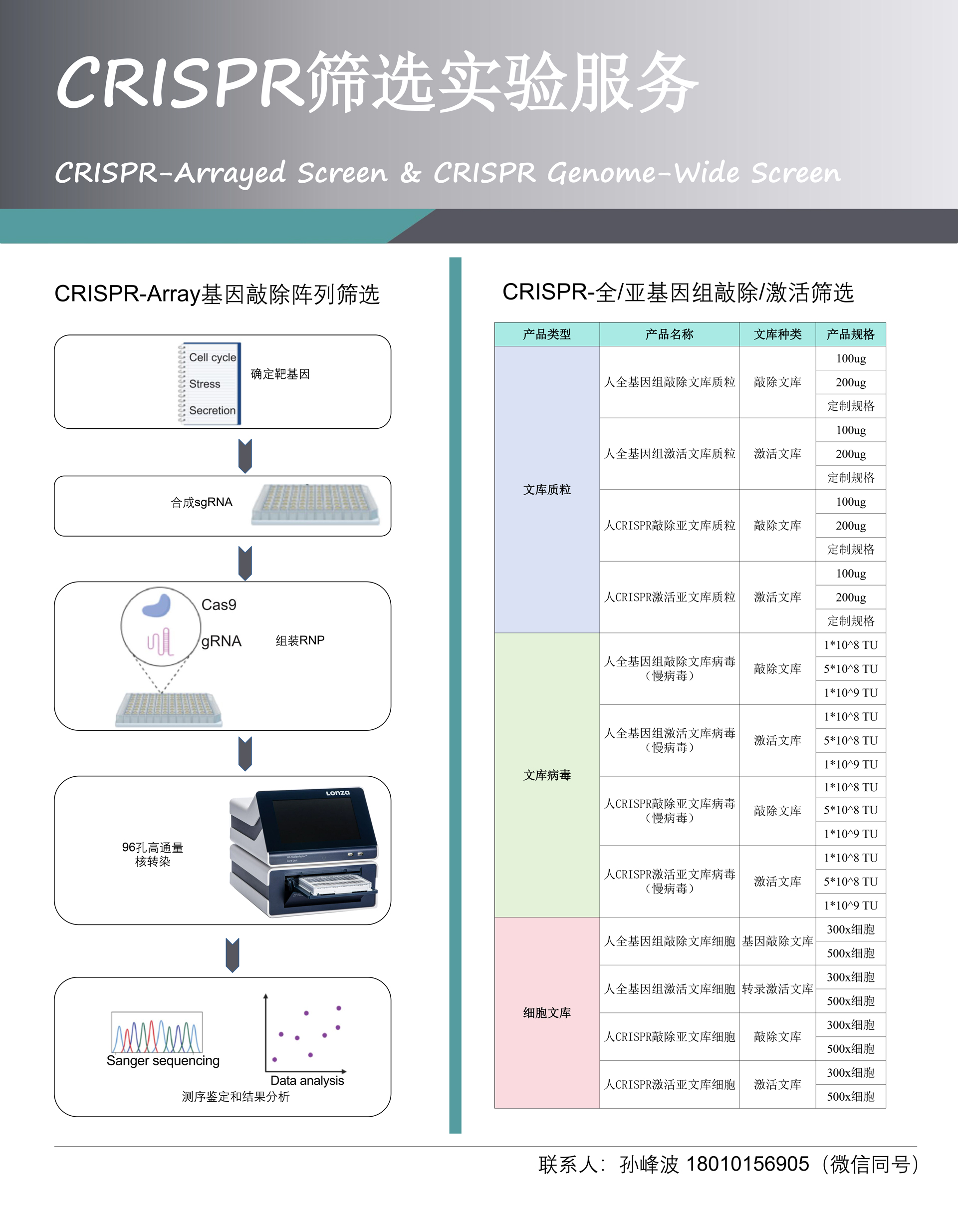 ����༭��CRISPRɸѡʵ�����