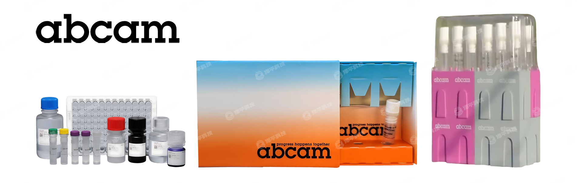 ������ƽ��ʽ��ΪAbcam�������ٷ���Ȩһ��������
