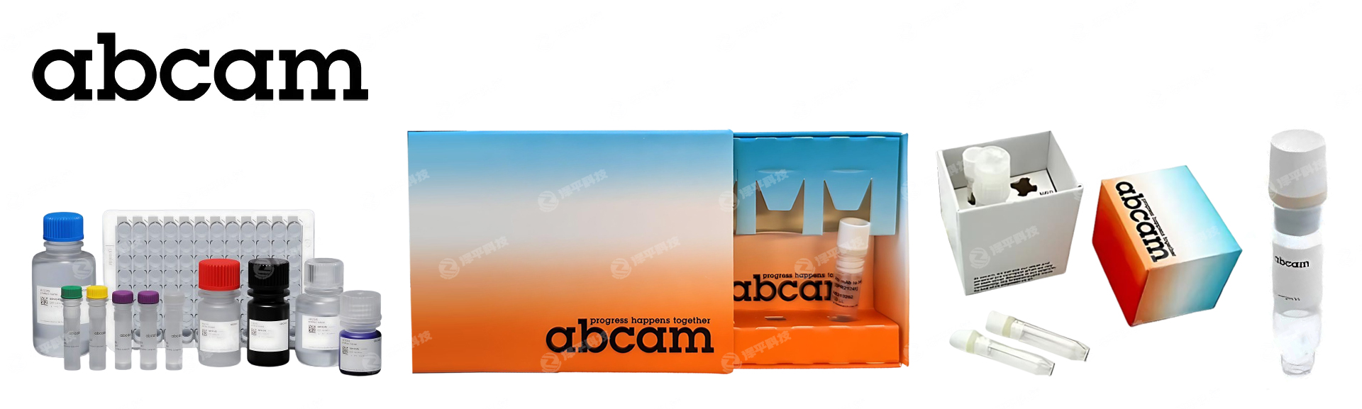 ������Abcam RabMab�����õ���,ӫ�����,ELISA����Լ���,����ż���Լ���,���鵰�״����̱�����ƽ