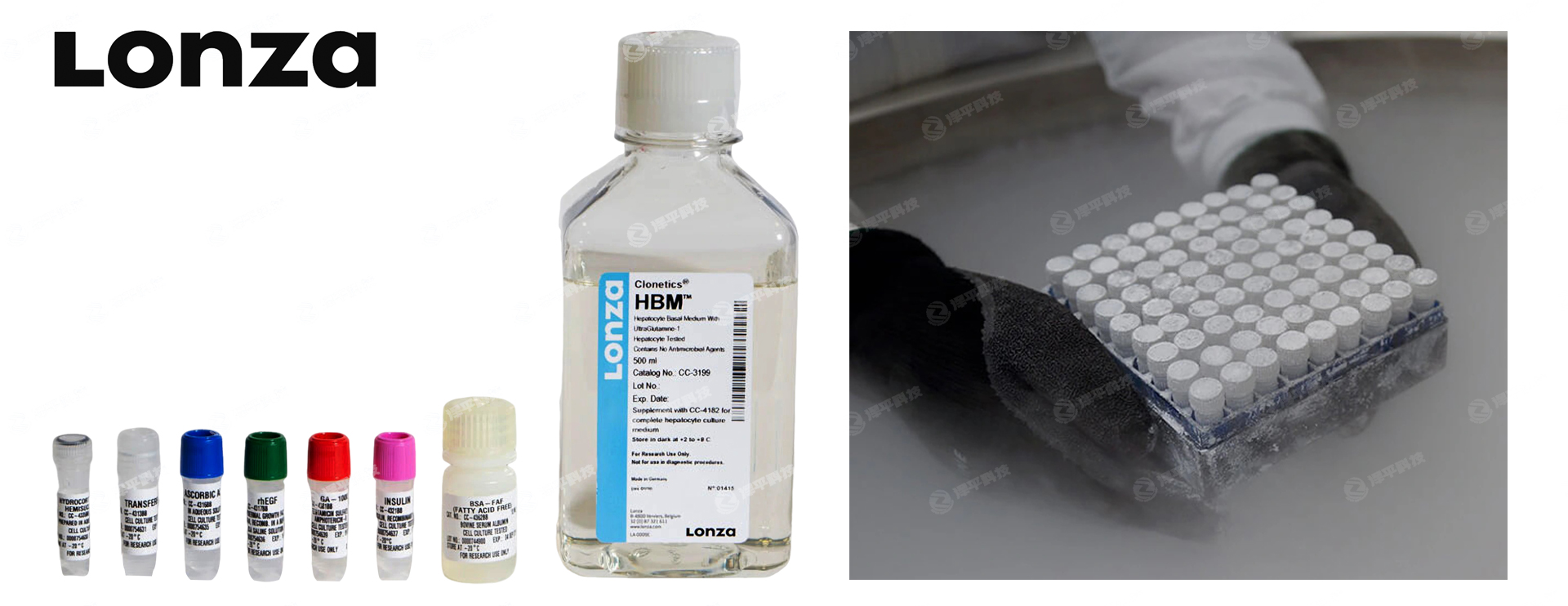 ��������Lonza��ԭ������ϸ��Human Hepatocytes,��ԭ����ϸ�������������̱�����ƽ