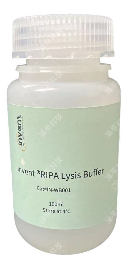 Invent RIPA�ѽ�Һ����IN-WB001ʵ��ͼ