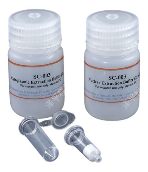 Invent Minuteϸ���ʺ�ϸ���˷����Լ��л���SC-003ʵ��ͼ