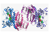 重组蛋白表达技术服务实验外包CRO