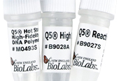 NEB PCR,LAMPDNAۺø,Taq,Q5߱ۺø,BstۺøƬ,Bst 2.0,Vent,phi29