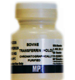 MP转铁蛋白Bovine Transferrin